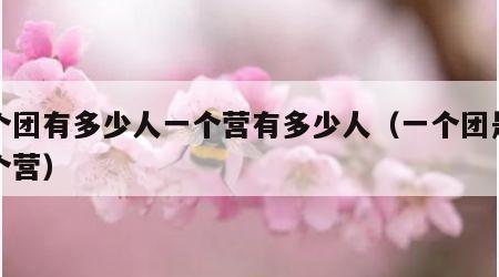 一个团有多少人一个营有多少人（一个团是多少个营）