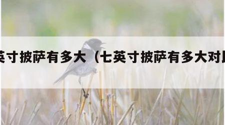七英寸披萨有多大（七英寸披萨有多大对比图）