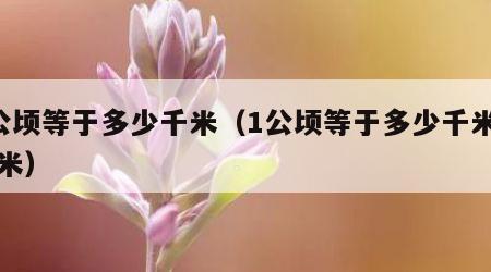 1公顷等于多少千米（1公顷等于多少千米多少米）
