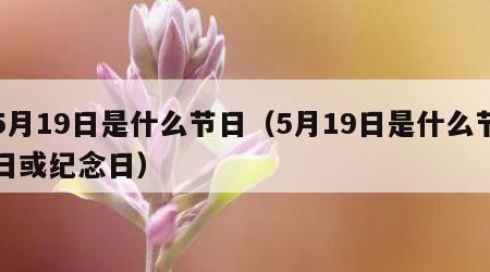 5月19日是什么节日（5月19日是什么节日或纪念日）