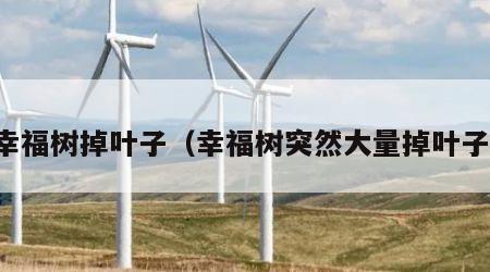 幸福树掉叶子（幸福树突然大量掉叶子）