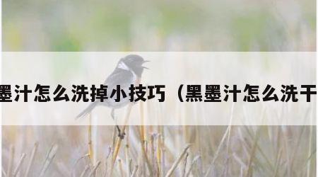 黑墨汁怎么洗掉小技巧（黑墨汁怎么洗干净）