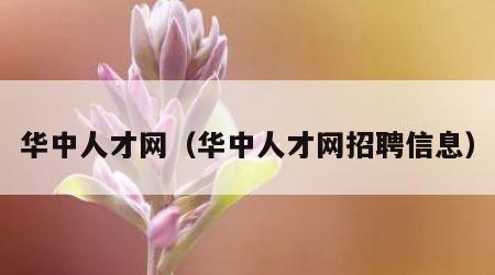华中人才网（华中人才网招聘信息）