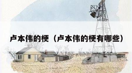 卢本伟的梗（卢本伟的梗有哪些）