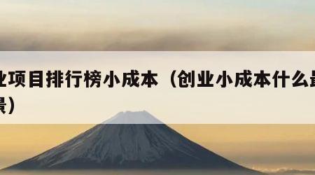 创业项目排行榜小成本（创业小成本什么最有前景）