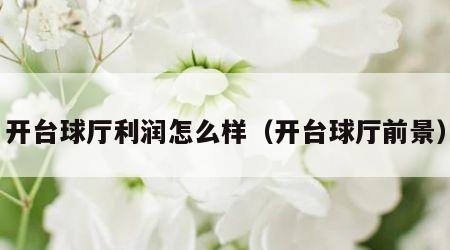开台球厅利润怎么样（开台球厅前景）
