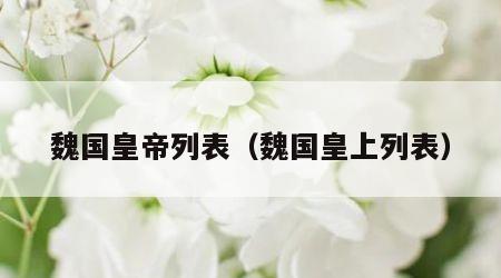 魏国皇帝列表（魏国皇上列表）