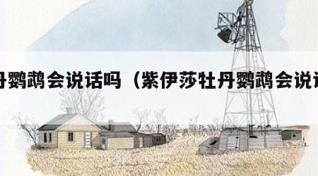 牡丹鹦鹉会说话吗（紫伊莎牡丹鹦鹉会说话吗）