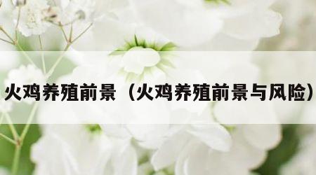火鸡养殖前景（火鸡养殖前景与风险）