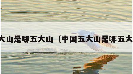 五大山是哪五大山（中国五大山是哪五大山）