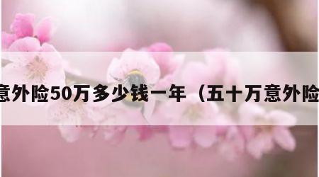 意外险50万多少钱一年（五十万意外险）