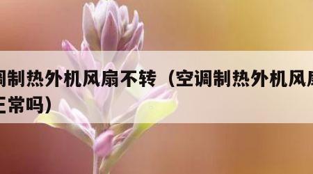 空调制热外机风扇不转（空调制热外机风扇不转正常吗）