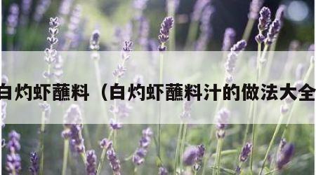 白灼虾蘸料（白灼虾蘸料汁的做法大全）