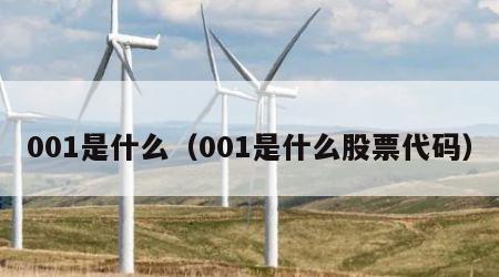 001是什么（001是什么股票代码）