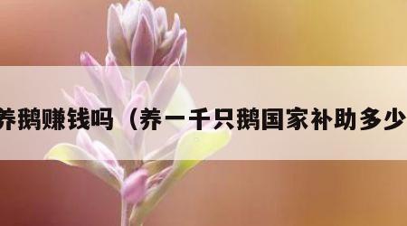 养鹅赚钱吗（养一千只鹅国家补助多少）