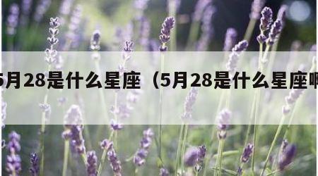 5月28是什么星座（5月28是什么星座啊）