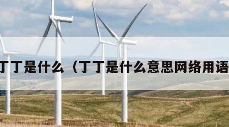 丁丁是什么（丁丁是什么意思网络用语）