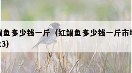 红鲳鱼多少钱一斤（红鲳鱼多少钱一斤市场价2023）