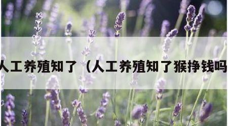 人工养殖知了（人工养殖知了猴挣钱吗）