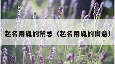 起名用胤的禁忌（起名用胤的寓意）