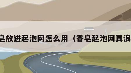 香皂放进起泡网怎么用（香皂起泡网真浪费）