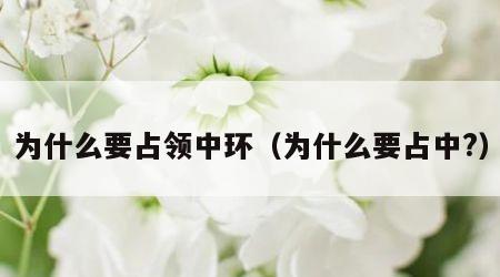 为什么要占领中环（为什么要占中?）