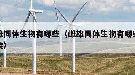 雌雄同体生物有哪些（雌雄同体生物有哪些动物类）