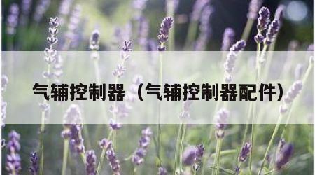 气辅控制器（气辅控制器配件）
