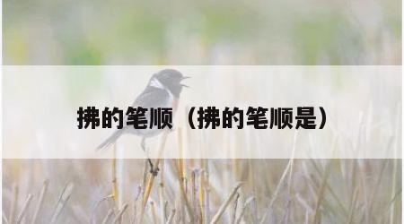 拂的笔顺（拂的笔顺是）