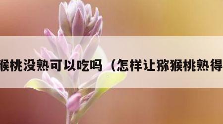 猕猴桃没熟可以吃吗（怎样让猕猴桃熟得快）
