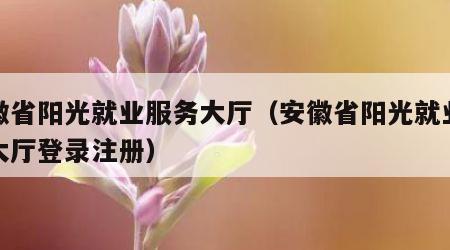 安徽省阳光就业服务大厅（安徽省阳光就业服务大厅登录注册）