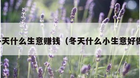 冬天什么生意赚钱（冬天什么小生意好做）