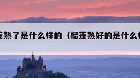 榴莲熟了是什么样的（榴莲熟好的是什么样子的）