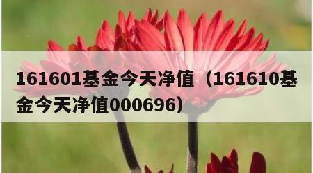 161601基金今天净值（161610基金今天净值000696）