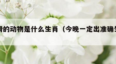 狡猾的动物是什么生肖（今晚一定出准确生肖）