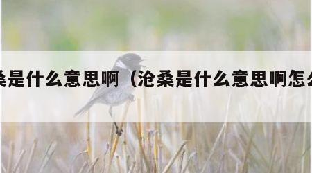 沧桑是什么意思啊（沧桑是什么意思啊怎么读）
