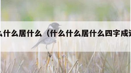 什么什么居什么（什么什么居什么四字成语大全）