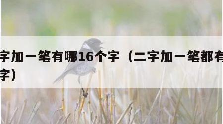 二字加一笔有哪16个字（二字加一笔都有哪些字）