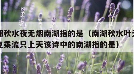 南湖秋水夜无烟南湖指的是（南湖秋水叶无烟耐克乘流只上天该诗中的南湖指的是）