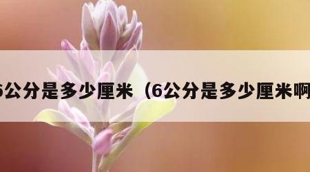 6公分是多少厘米（6公分是多少厘米啊）