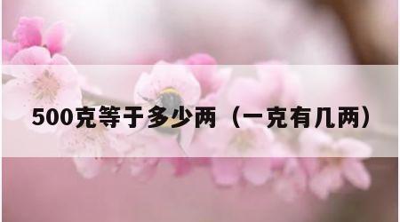 500克等于多少两（一克有几两）