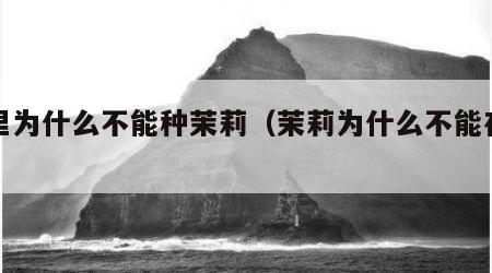 家里为什么不能种茉莉（茉莉为什么不能在家养）