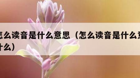 碓怎么读音是什么意思（怎么读音是什么意思是什么）