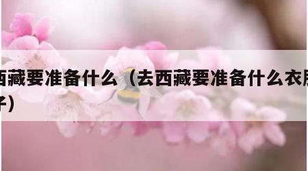 去西藏要准备什么（去西藏要准备什么衣服和鞋子）