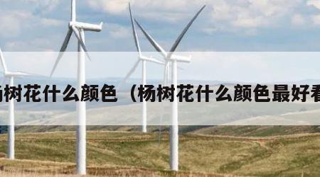 杨树花什么颜色（杨树花什么颜色最好看）