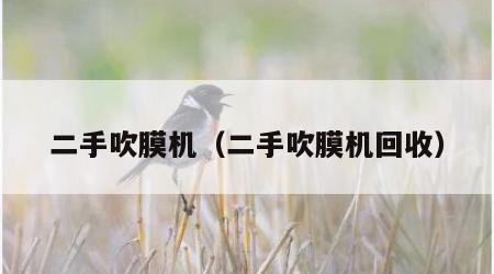 二手吹膜机（二手吹膜机回收）