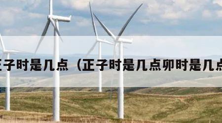 正子时是几点（正子时是几点卯时是几点）