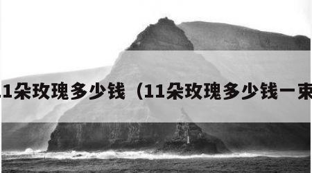 11朵玫瑰多少钱（11朵玫瑰多少钱一束）