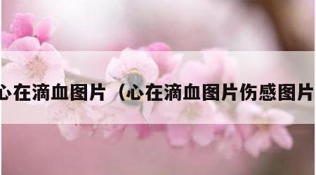心在滴血图片（心在滴血图片伤感图片）
