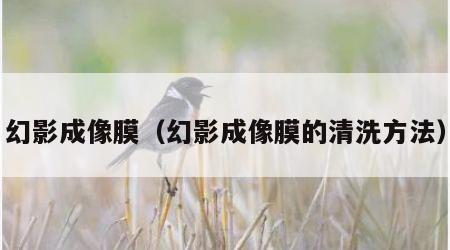 幻影成像膜（幻影成像膜的清洗方法）